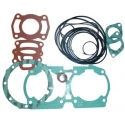 seadoo gaskets